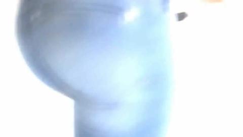 13317