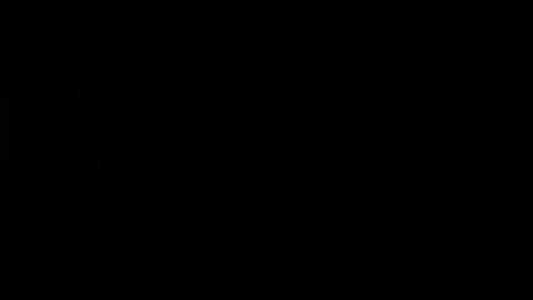16337