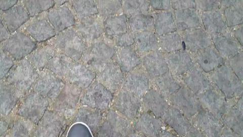 3444