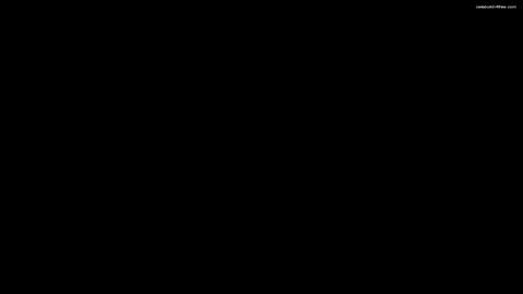 20825