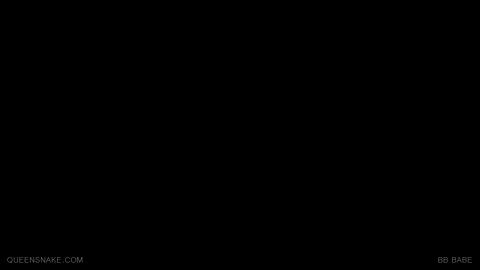 16201